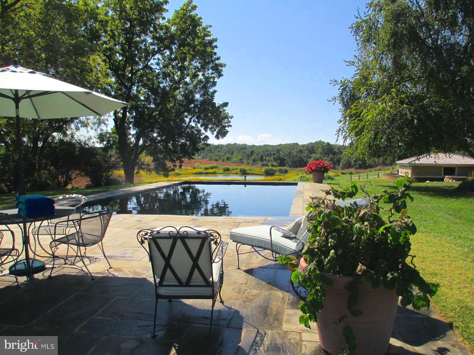 10121 Fairlee Road Chestertown, MD 21620 - Photo 56 of 66 a view of a swimming pool and lounge chairs in the patio