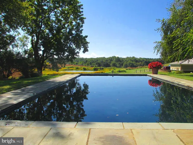 a view of a swimming pool with a yard