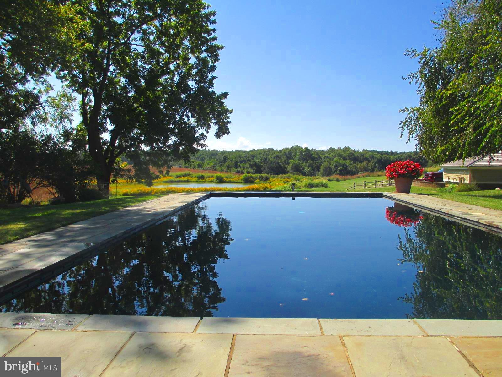 10121 Fairlee Road Chestertown, MD 21620 - Photo 57 of 66 a view of a lake with outdoor space