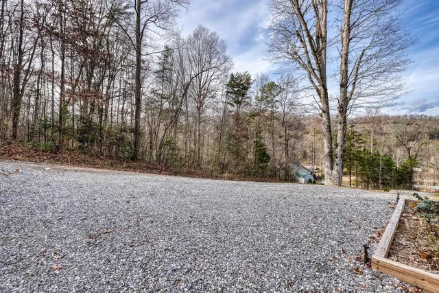 a view of a yard with trees