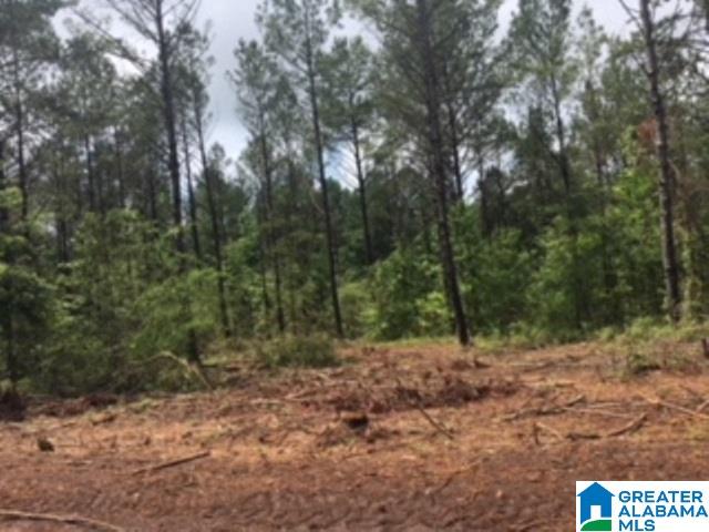 325 Springhill Road, Unit 1 Talladega, AL 35160 - Photo 7 of 31