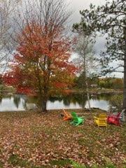 13 River Street Princeton, ME 04668 - Photo 31 of 34 1000024366