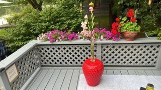 13 River Street Princeton, ME 04668 - Photo 9 of 34 1000024364