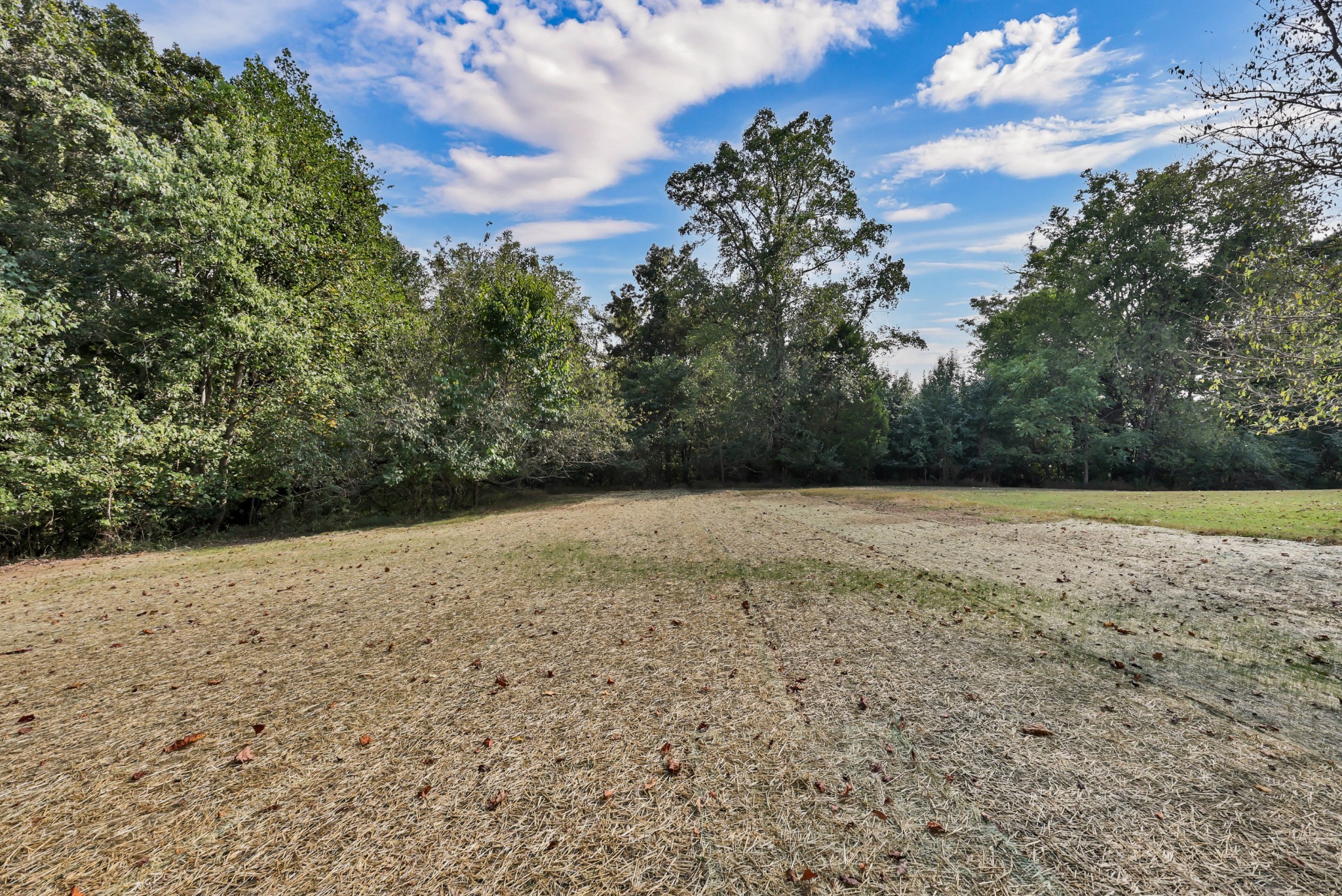262 Rossview Road Clarksville, TN 37043 - Photo 38 of 43 a view of dirt yard with a large tree