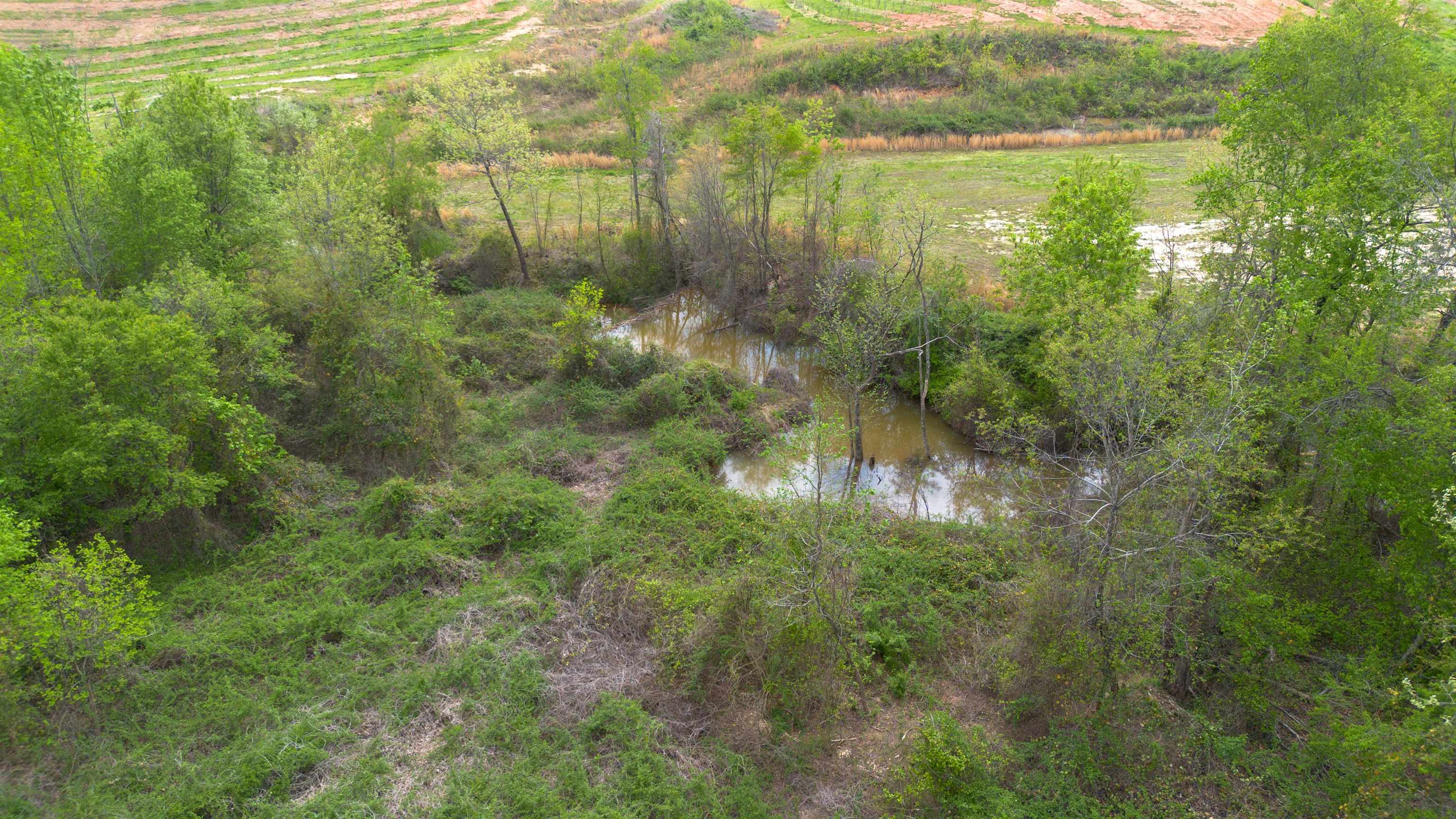 130 Sarah Drive Landrum, SC 29356 - Photo 8 of 15