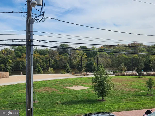 a view of a park with large trees