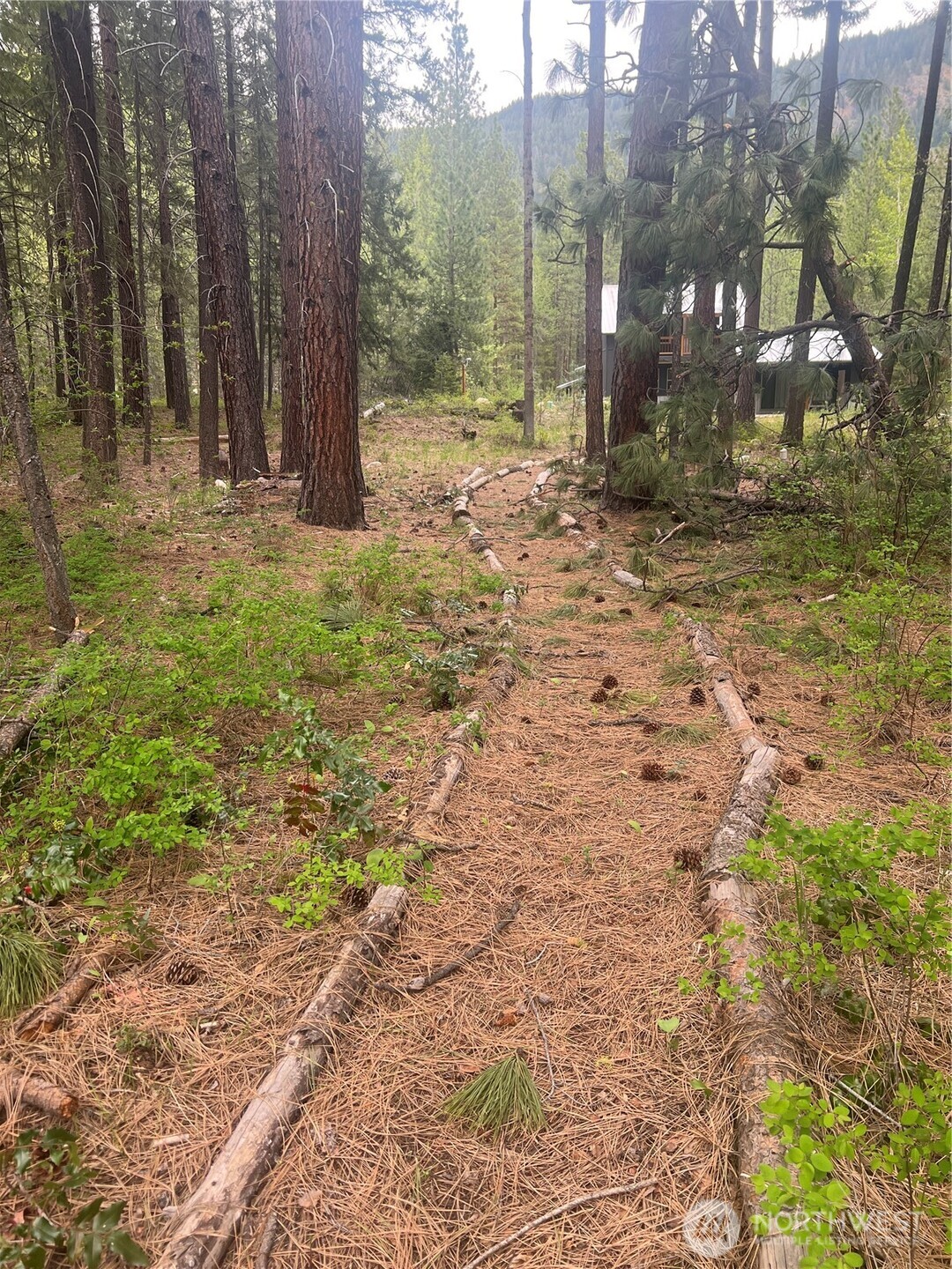 3 Mazama Bridge Road Mazama, WA 98833 - Photo 28 of 29 a view of outdoor space with trees