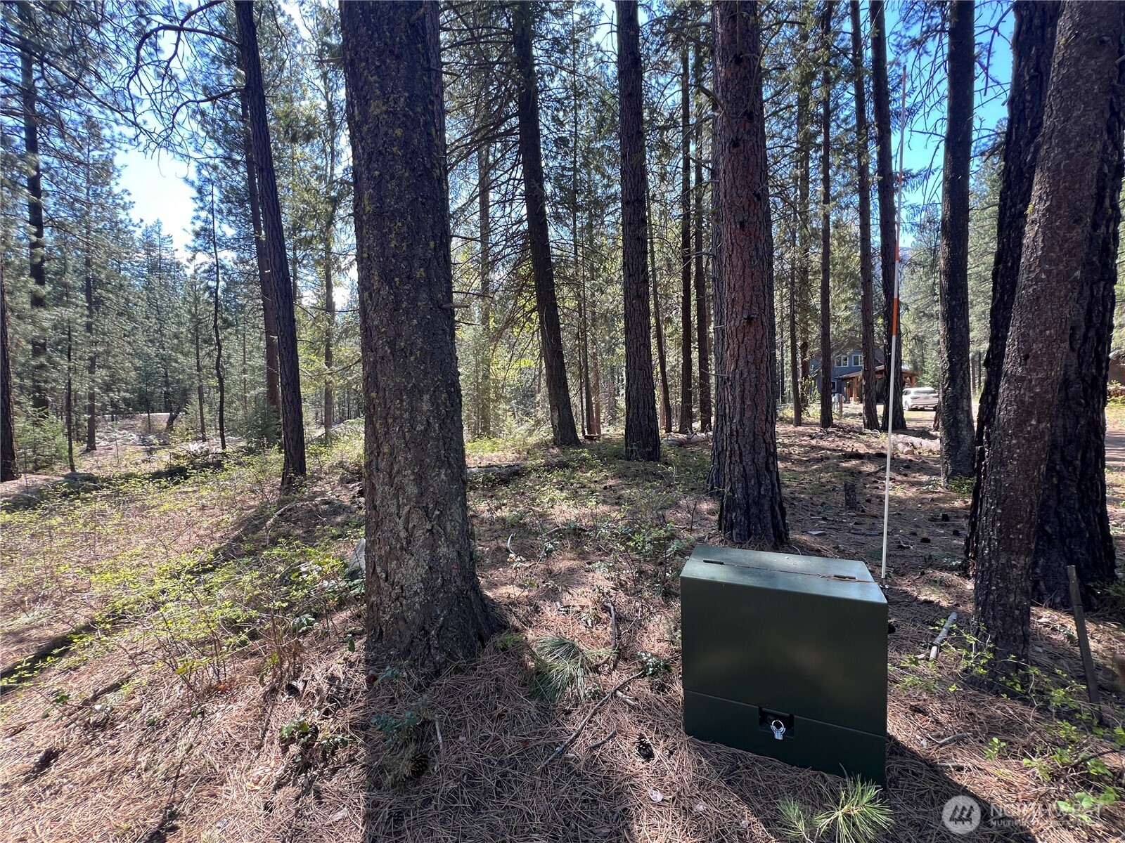 3 Mazama Bridge Road Mazama, WA 98833 - Photo 29 of 29 a view of outdoor space with green space
