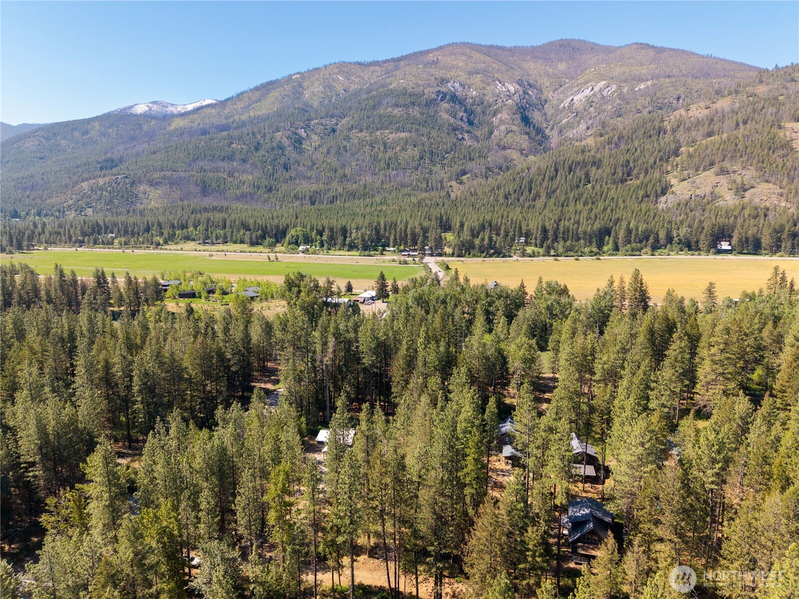 3 Mazama Bridge Road Mazama, WA 98833 - Photo 5 of 29 a view of a forest with mountains in the background