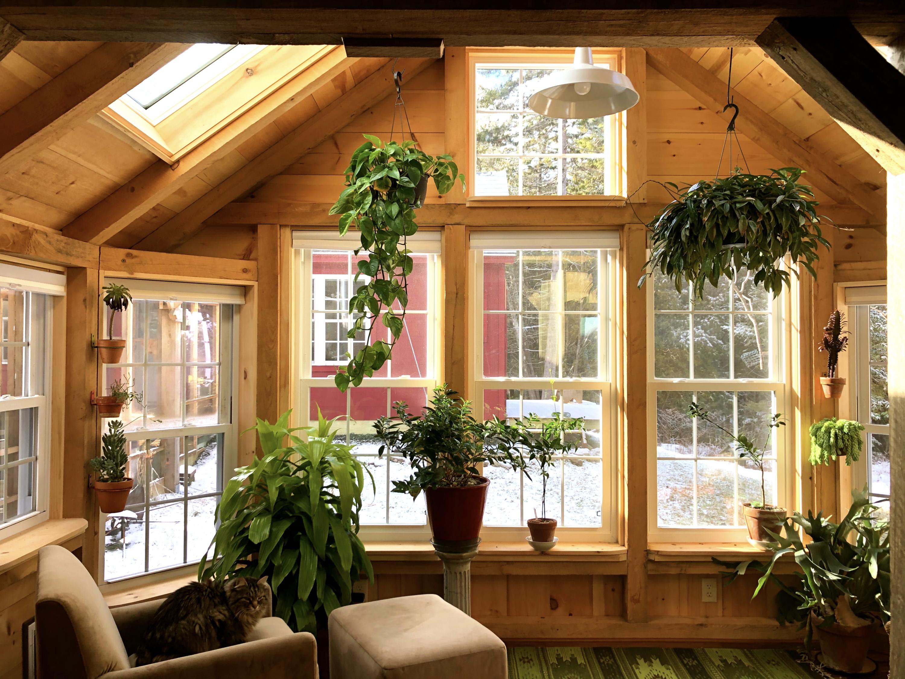37 Cape Road Seal Cove, ME 04674 - Photo 12 of 30 11