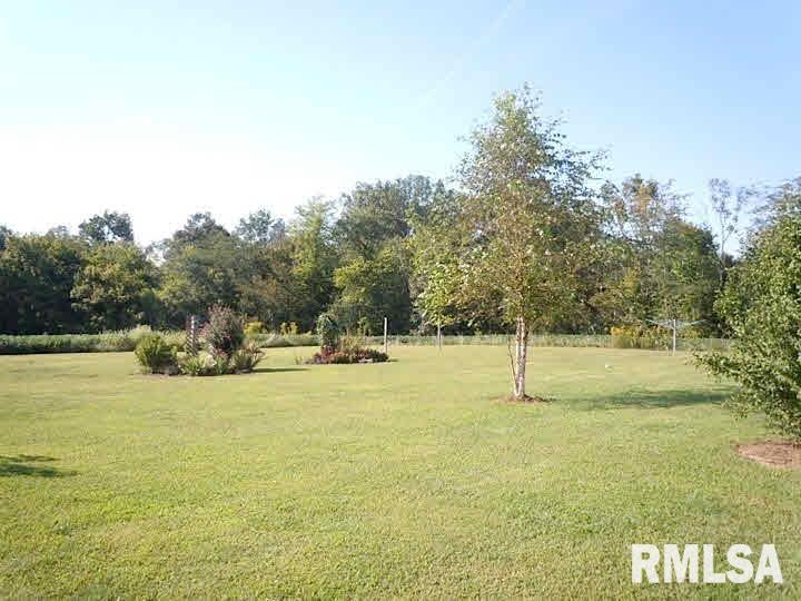 9983 Stilley''s Mill Road Marion, IL 62959 - Photo 29 of 38
