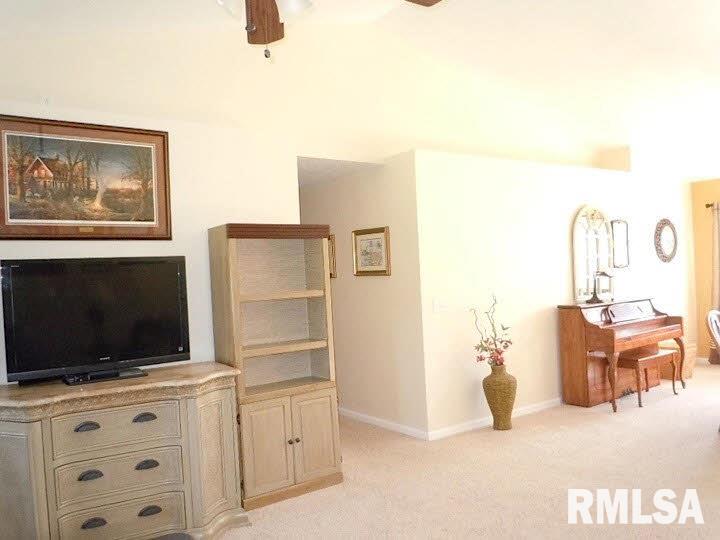 9983 Stilley''s Mill Road Marion, IL 62959 - Photo 4 of 38