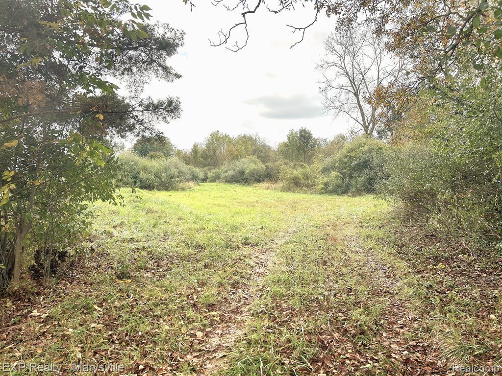 11 Siegel Road Emmett, MI 48022 - Photo 2 of 5