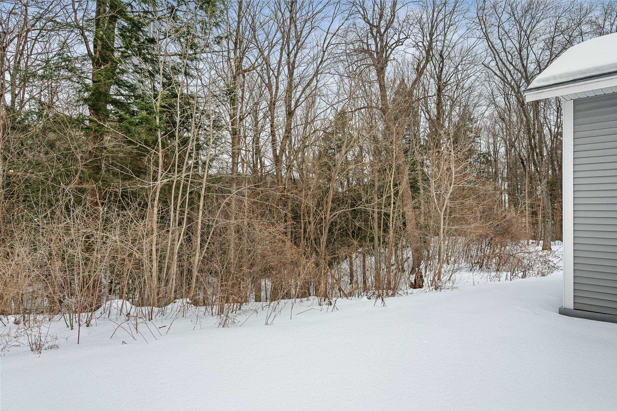 64 Webster Ridge Shelburne, VT 05482 - Photo 40 of 52
