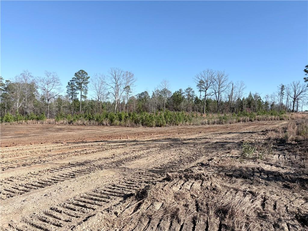 210 Ridge Road Seale, AL 36875 - Photo 3 of 14 Gallery Image 3