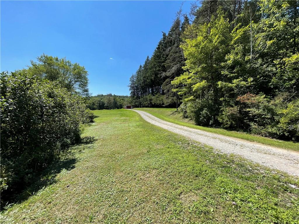 393 Workman Road Farmington, PA 15437 - Photo 6 of 25 Gallery Image 6