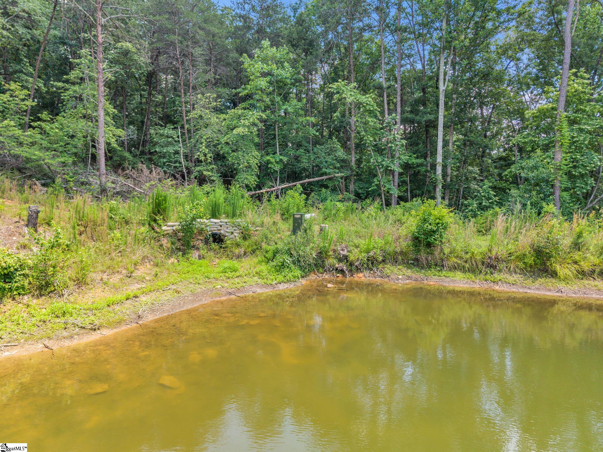 0 Bridgeview Road Chesnee, SC 29323 - Photo 20 of 22