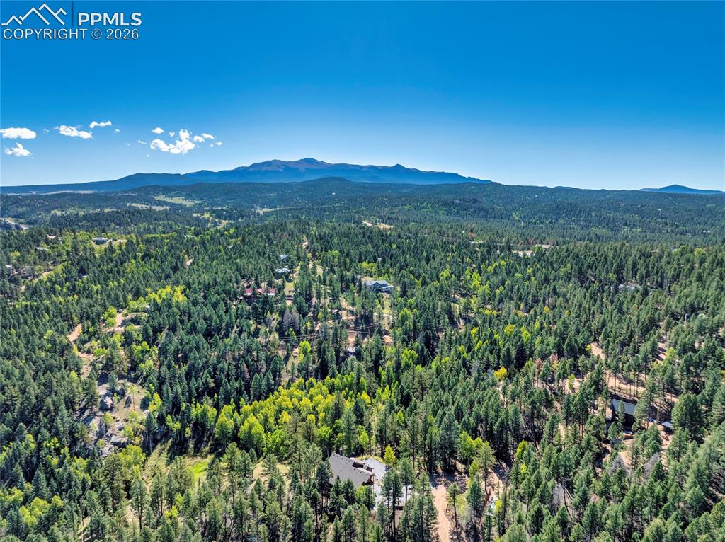 80 Feldspar Road Florissant, CO 80816 - Photo 4 of 31 Can you hear it playing...'Oh say can you see...?'