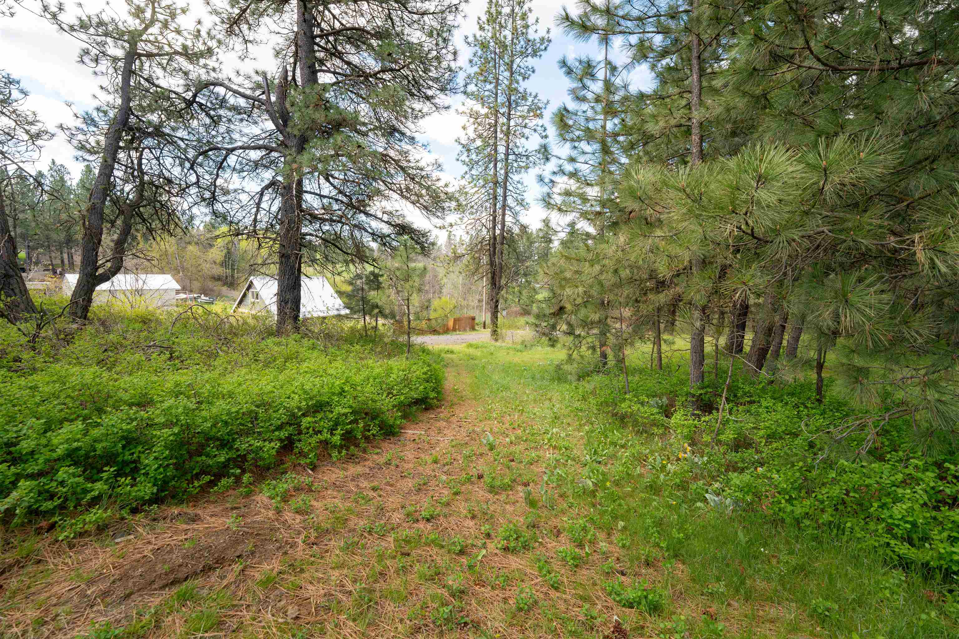 11511 East Connor Road Valleyford, WA 99036 - Photo 38 of 50
