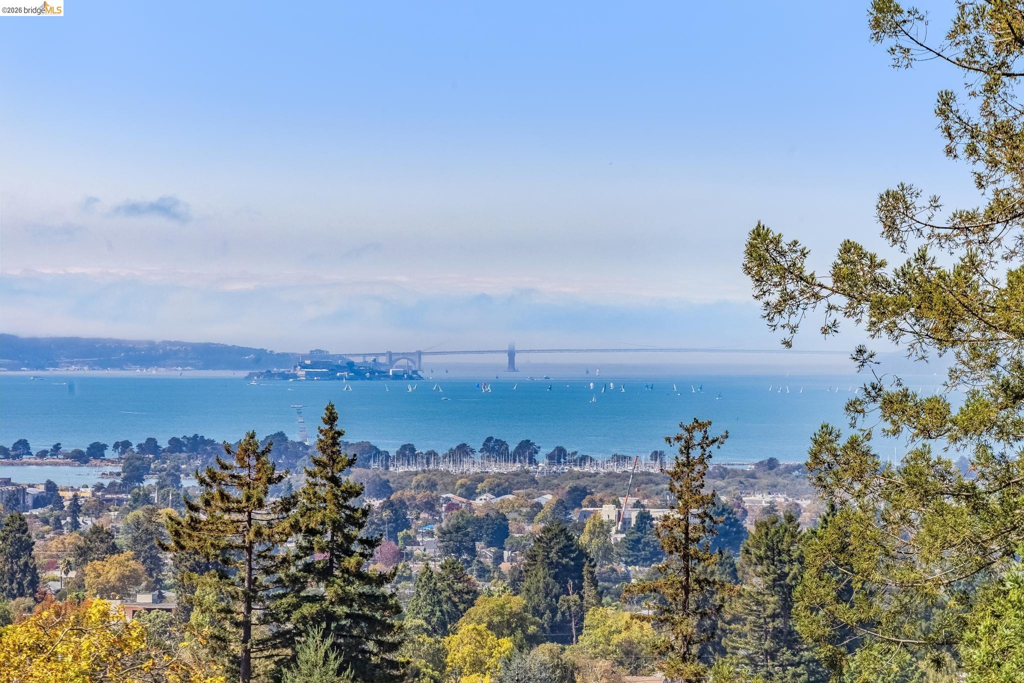 1466 Scenic Avenue Berkeley, CA 94708 - Photo 9 of 41 Gallery Image 9