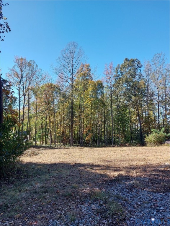 1745 Reams Road Powhatan, VA 23139 - Photo 2 of 2 View of yard and house site surrounded by woods.