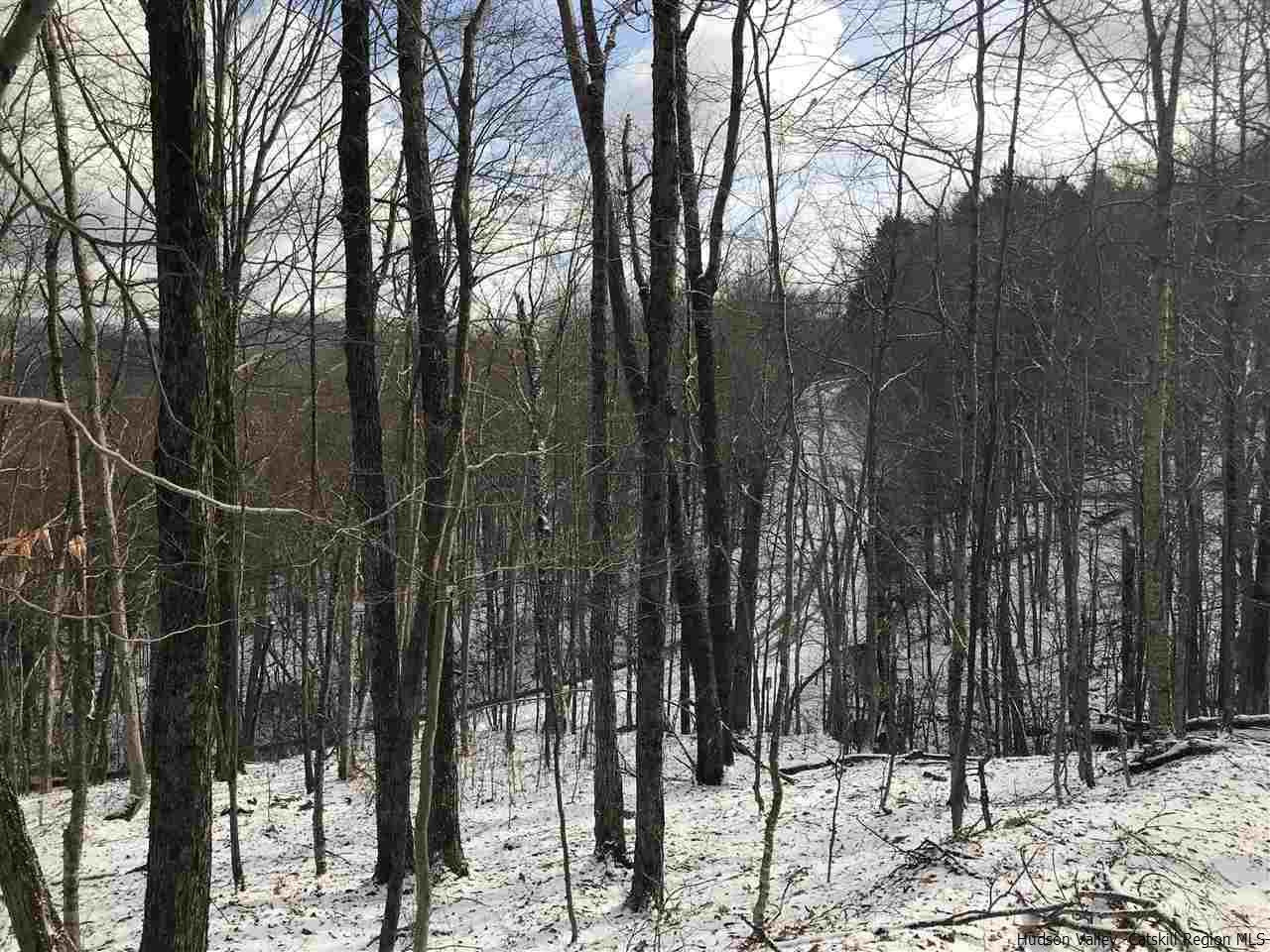 0 Mill Brook Road Margaretville, NY 12455 - Photo 1 of 12 a view of a forest
