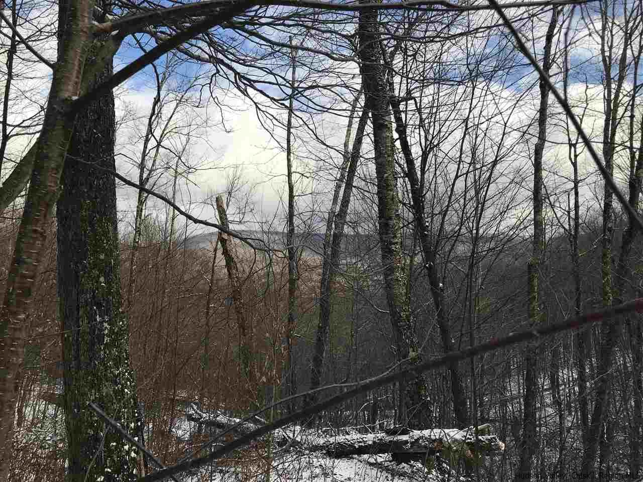 0 Mill Brook Road Margaretville, NY 12455 - Photo 11 of 12 a backyard of a house with lots of green space