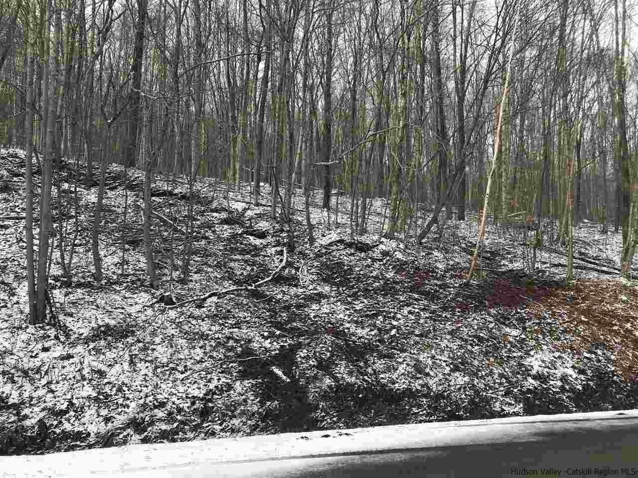 0 Mill Brook Road Margaretville, NY 12455 - Photo 2 of 12 a view of a yard with trees