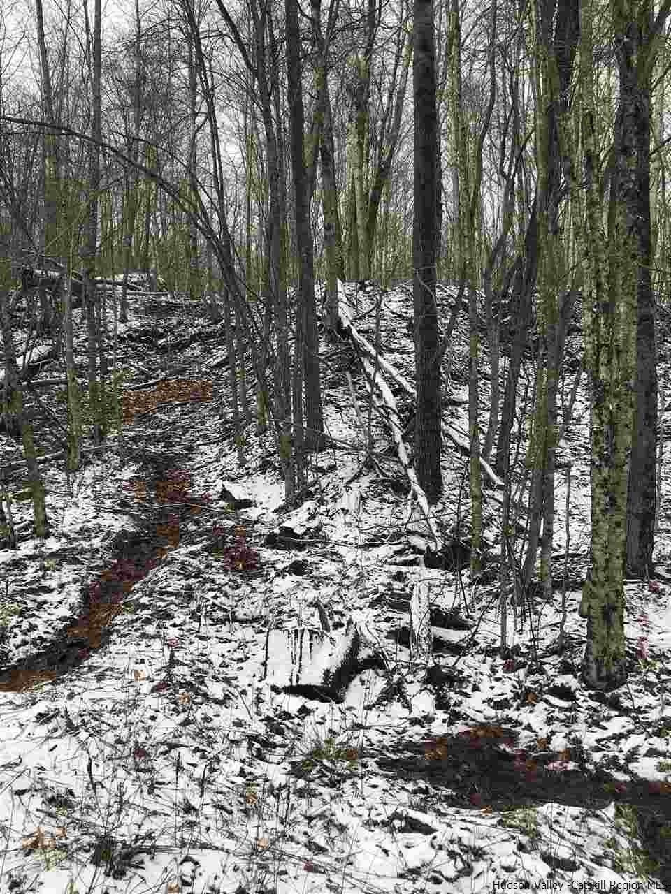 0 Mill Brook Road Margaretville, NY 12455 - Photo 3 of 12 a view of a forest with trees