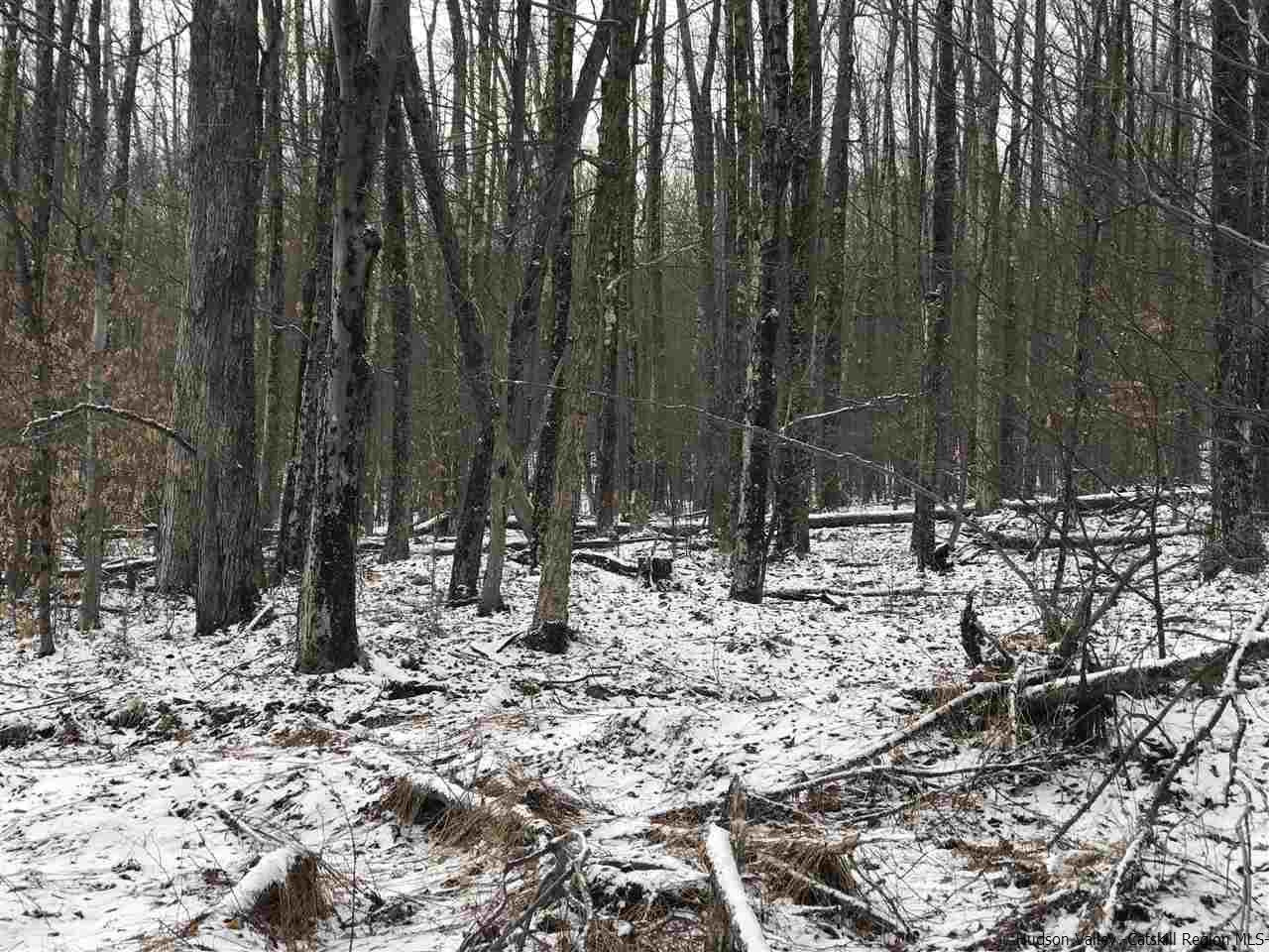 0 Mill Brook Road Margaretville, NY 12455 - Photo 4 of 12 a view of open space with a trees