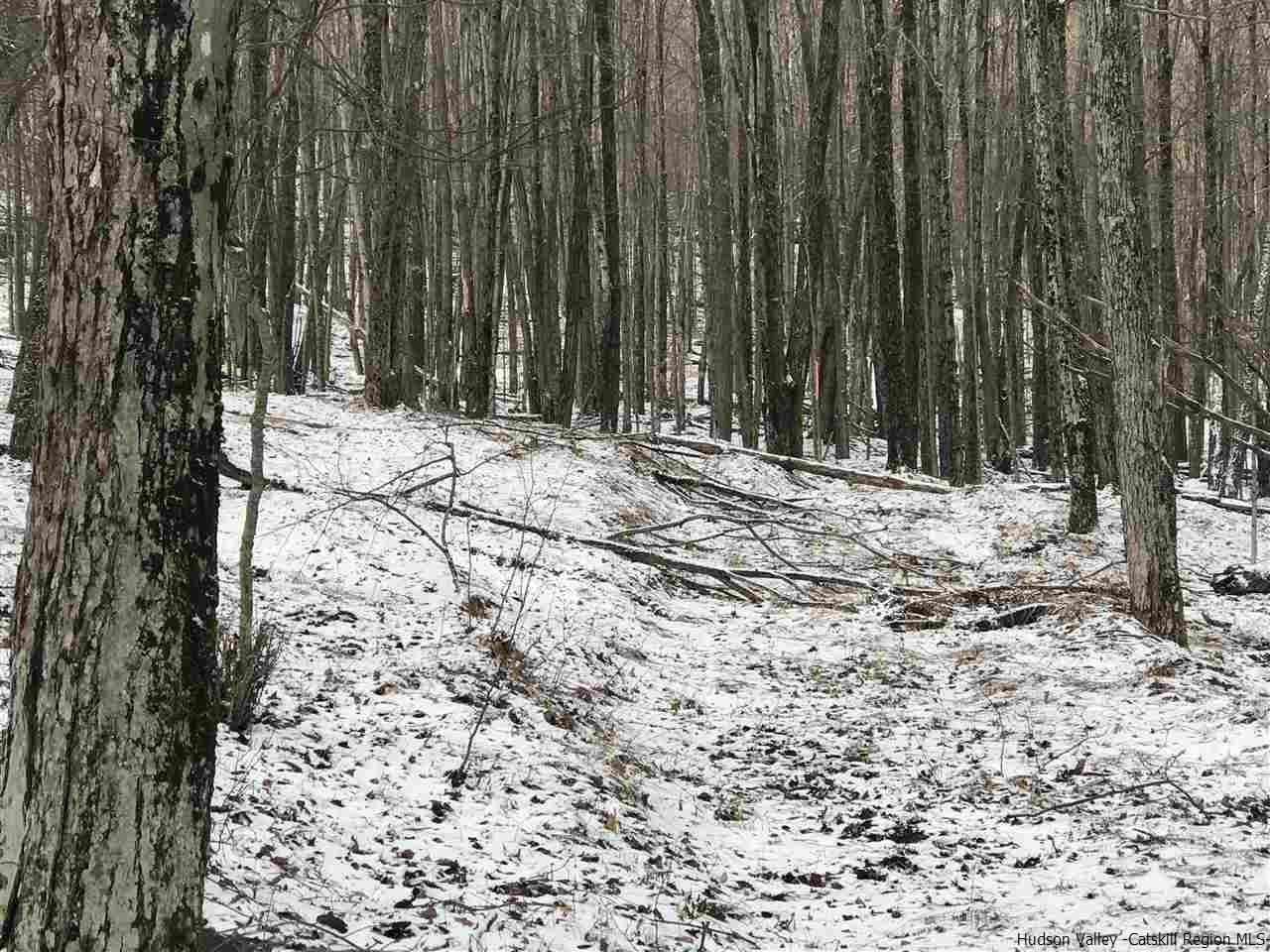 0 Mill Brook Road Margaretville, NY 12455 - Photo 6 of 12 a view of a yard with trees