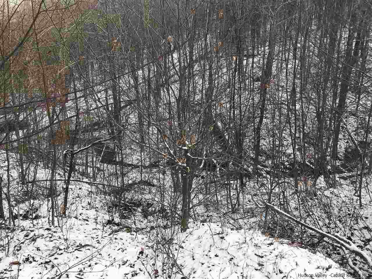 0 Mill Brook Road Margaretville, NY 12455 - Photo 7 of 12 a picture of trees