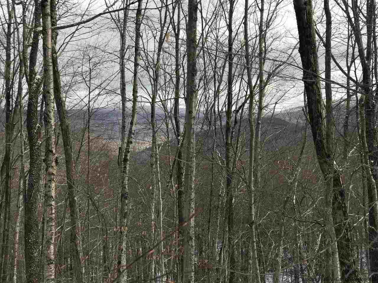 0 Mill Brook Road Margaretville, NY 12455 - Photo 8 of 12