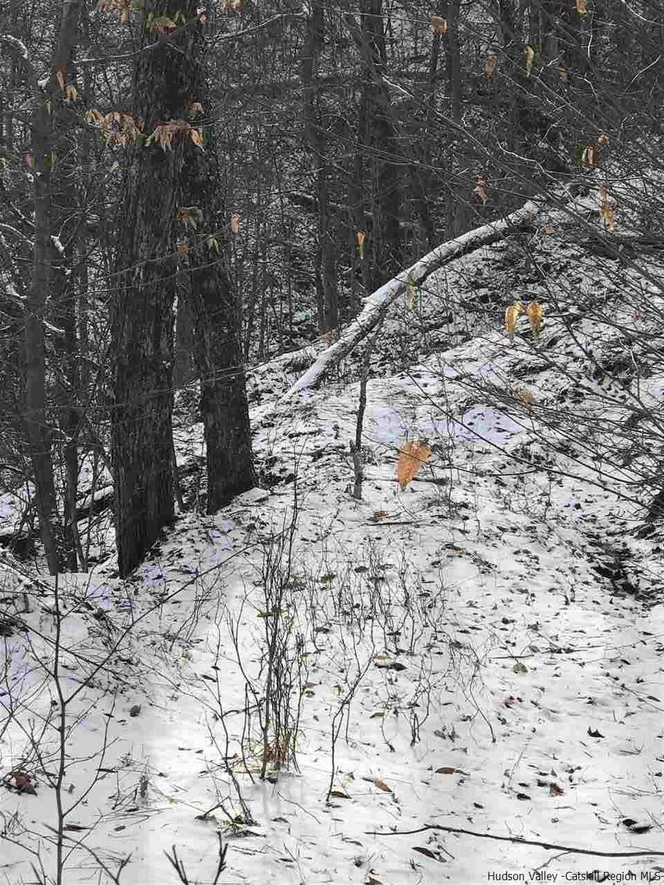 0 Mill Brook Road Margaretville, NY 12455 - Photo 9 of 12 a view of a dry yard with trees