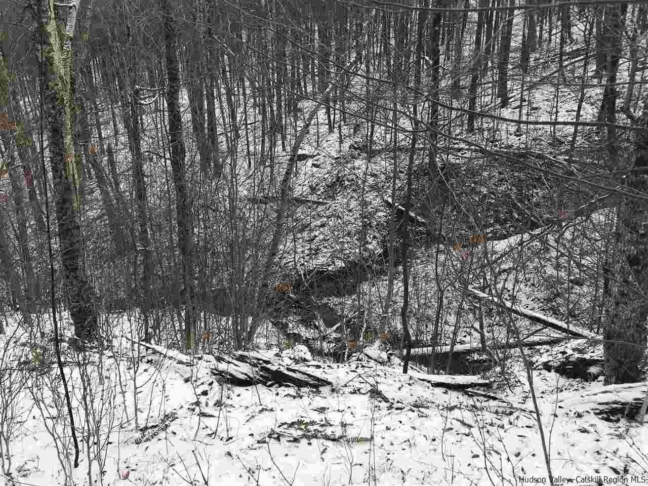 0 Mill Brook Road Margaretville, NY 12455 - Photo 10 of 12 a view of wooden fence and trees