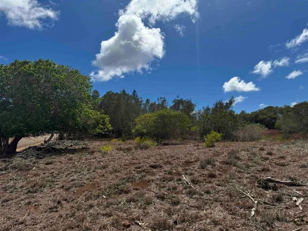 a view of a backyard of a house