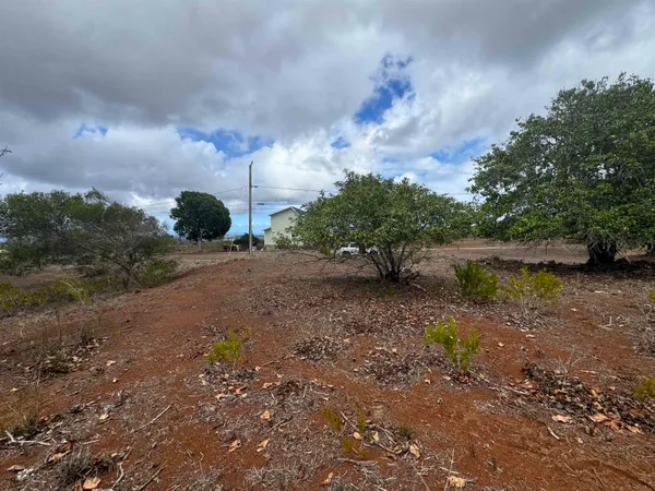 a view of a road with a yard