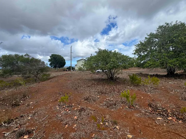 a view of a road with a yard