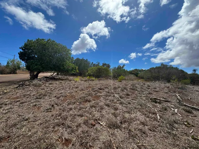 a view of a backyard of the house