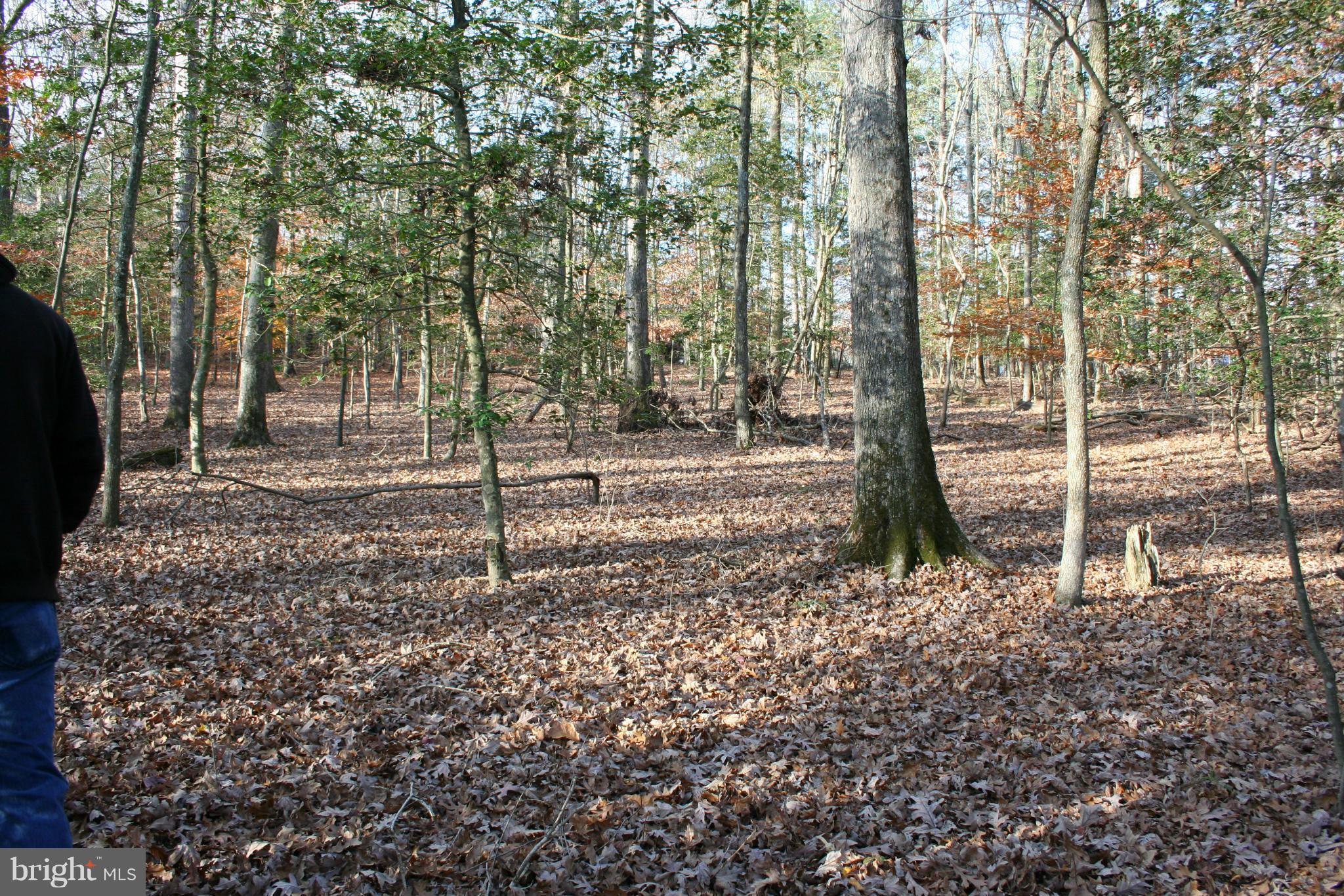 1920 Accokeek Road West Accokeek, MD 20607 - Photo 4 of 12 a backyard of a house with lots of green space