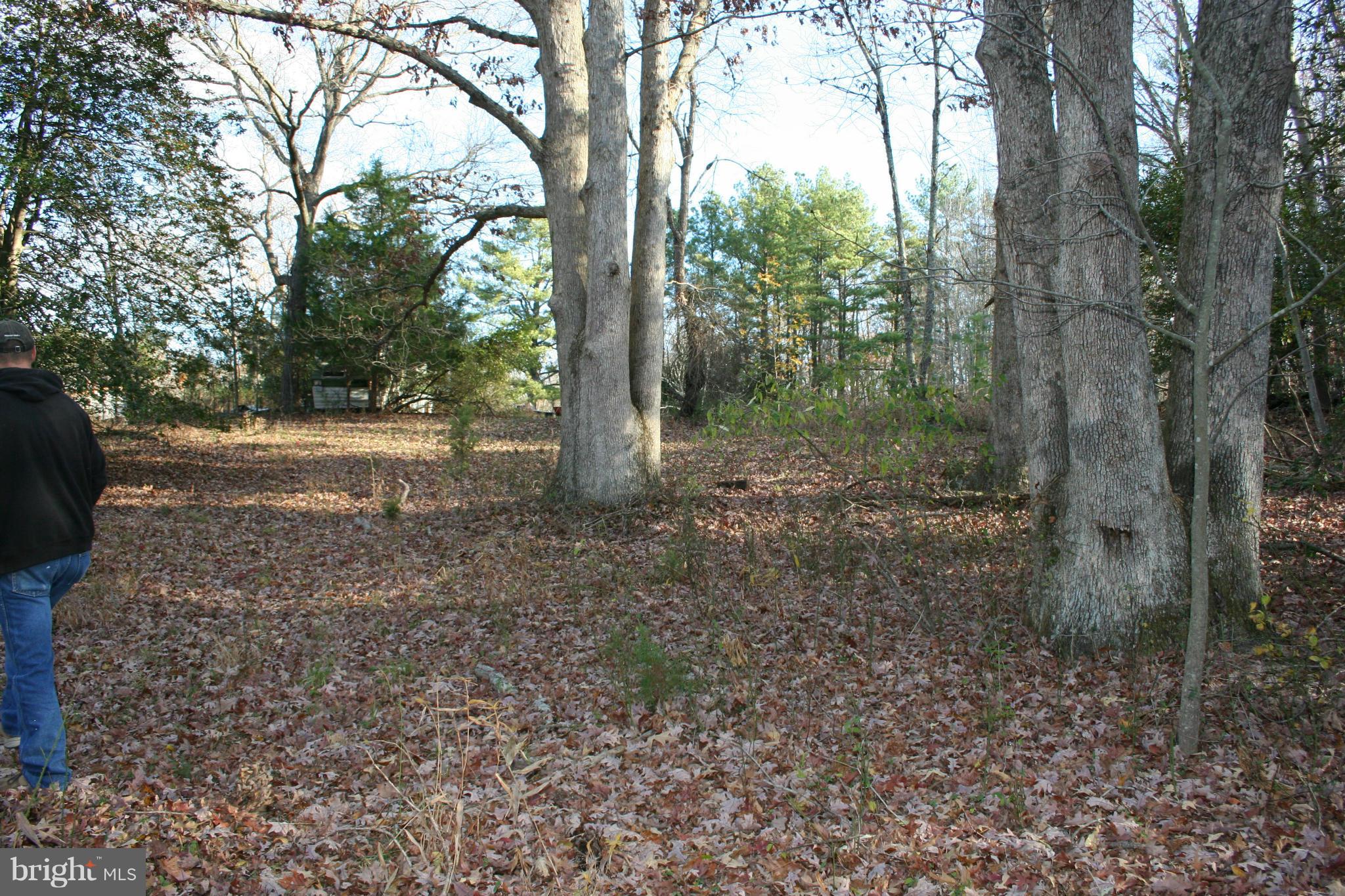 1920 Accokeek Road West Accokeek, MD 20607 - Photo 5 of 12 a view of a forest with trees in the background