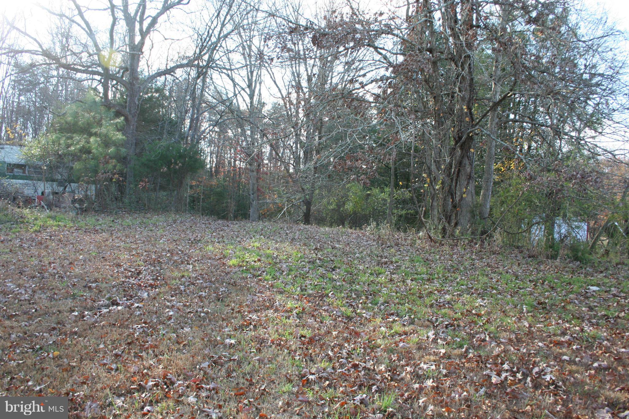 1920 Accokeek Road West Accokeek, MD 20607 - Photo 6 of 12 a view of a forest with trees in the background