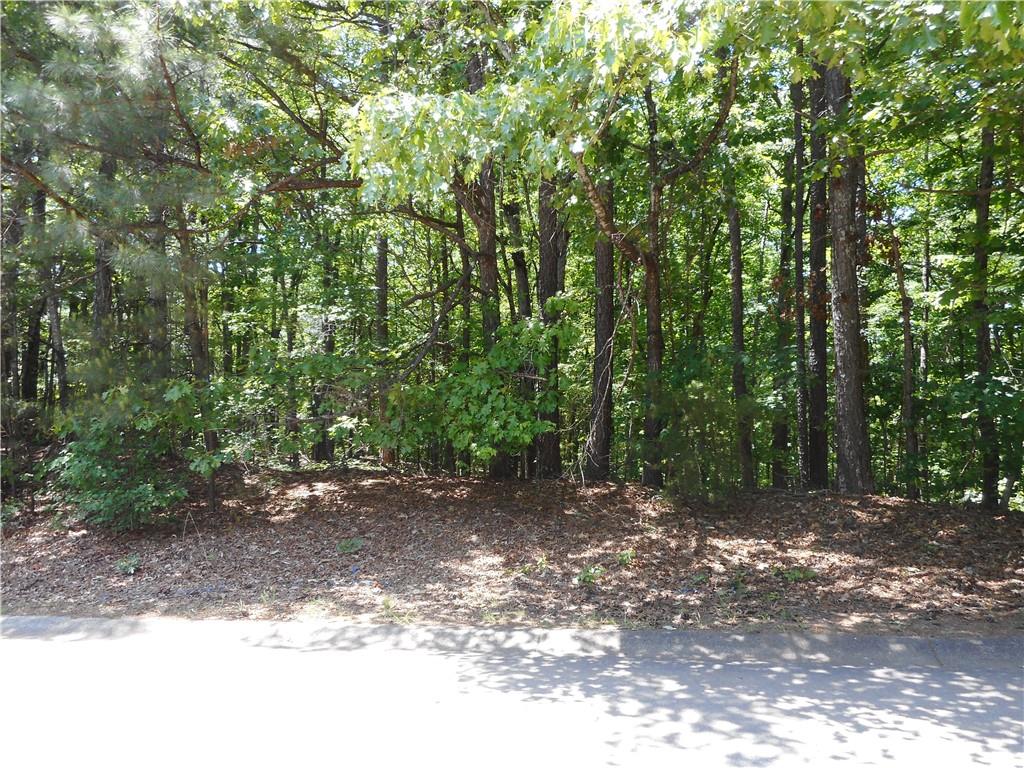 0 Holly Street Canton, GA 30114 - Photo 5 of 10 a view of a forest with trees in the background