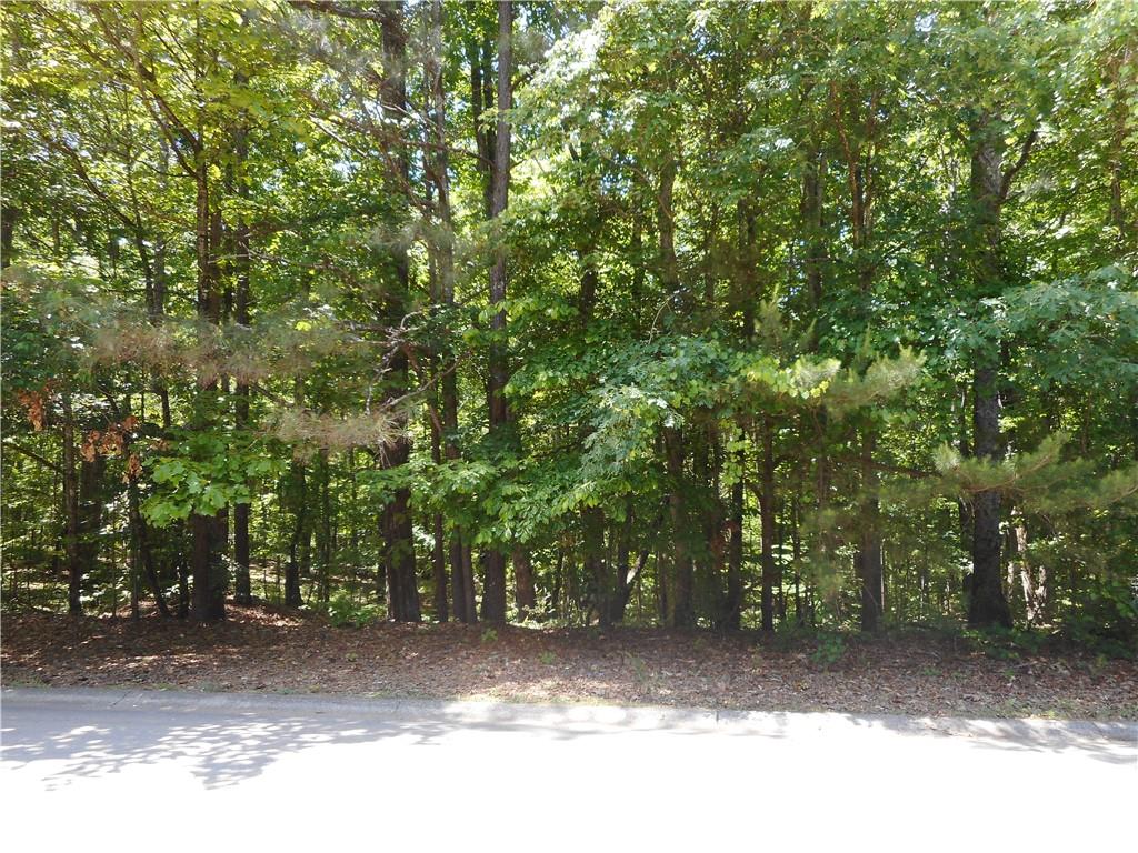 0 Holly Street Canton, GA 30114 - Photo 6 of 10 a backyard of a house with large trees
