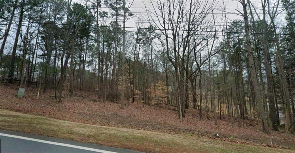 0 Holly Street Canton, GA 30114 - Photo 9 of 10 a view of a forest filled with trees