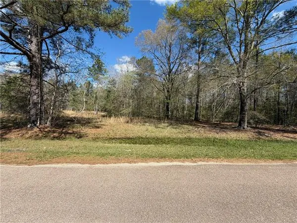 $80,000 | Lot 15-c-2 Lot 15-c-2 Persimmon Lane, Abita Springs, LA 70420