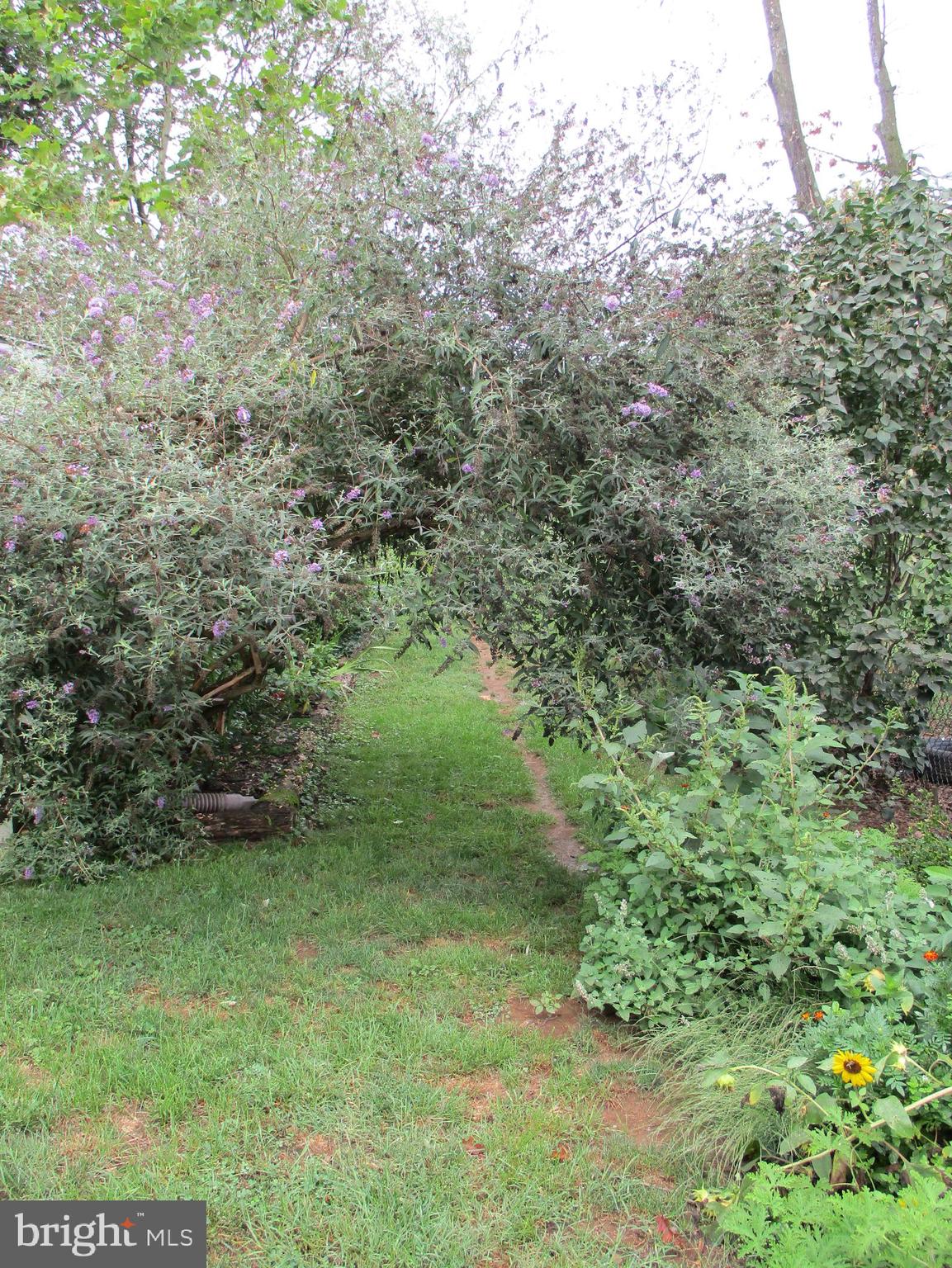 347 Devonshire Road Hagerstown, MD 21740 - Photo 28 of 37