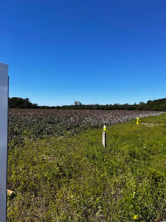 $59,900 | 1677 Cockfield Road, Scranton, SC 29591