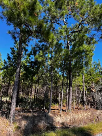 $59,900 | 1677 Cockfield Road, Scranton, SC 29591