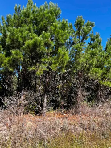 $59,900 | 1677 Cockfield Road, Scranton, SC 29591